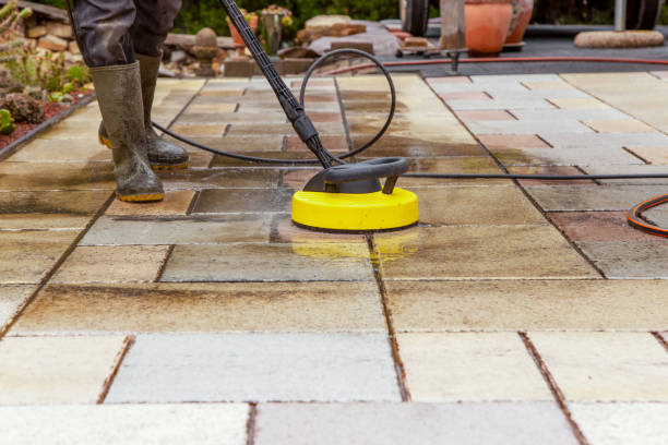 Best Gutter Cleaning  in Ellisville, MO